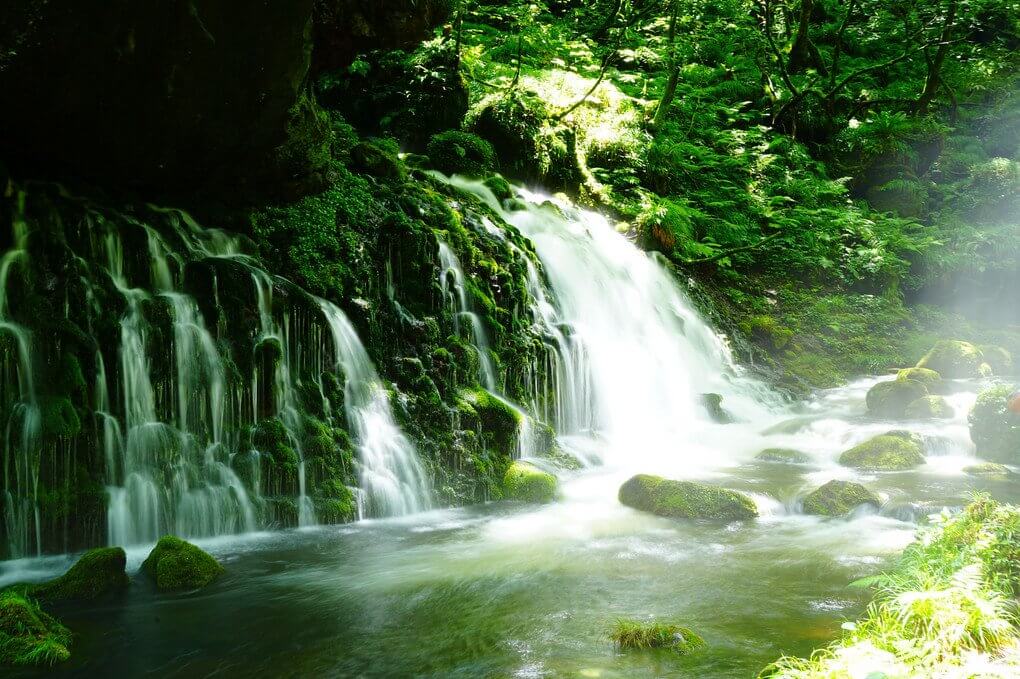 『岩の苔を傳う白糸』ハルさん