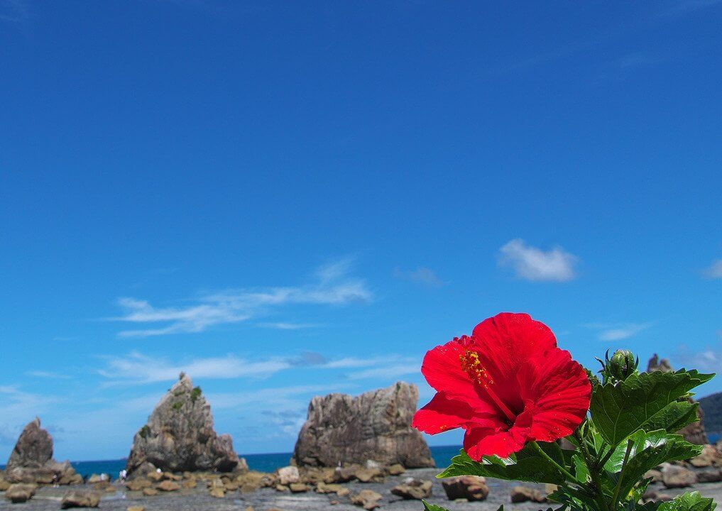 『串本の海と花』kinokuniさん