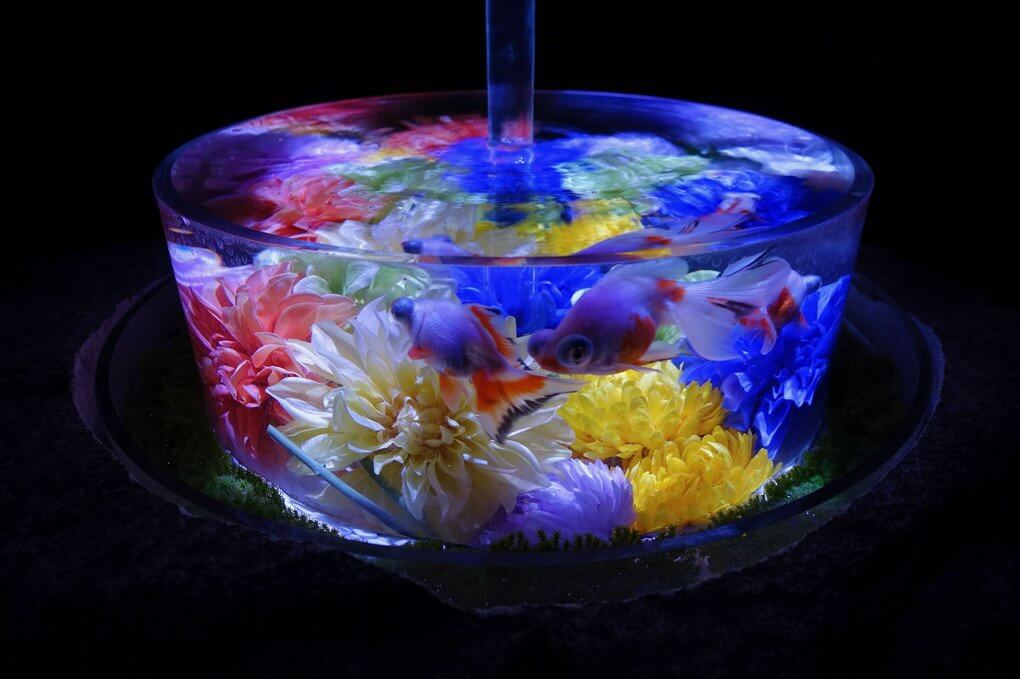 『夏の思い出』Shin19さん