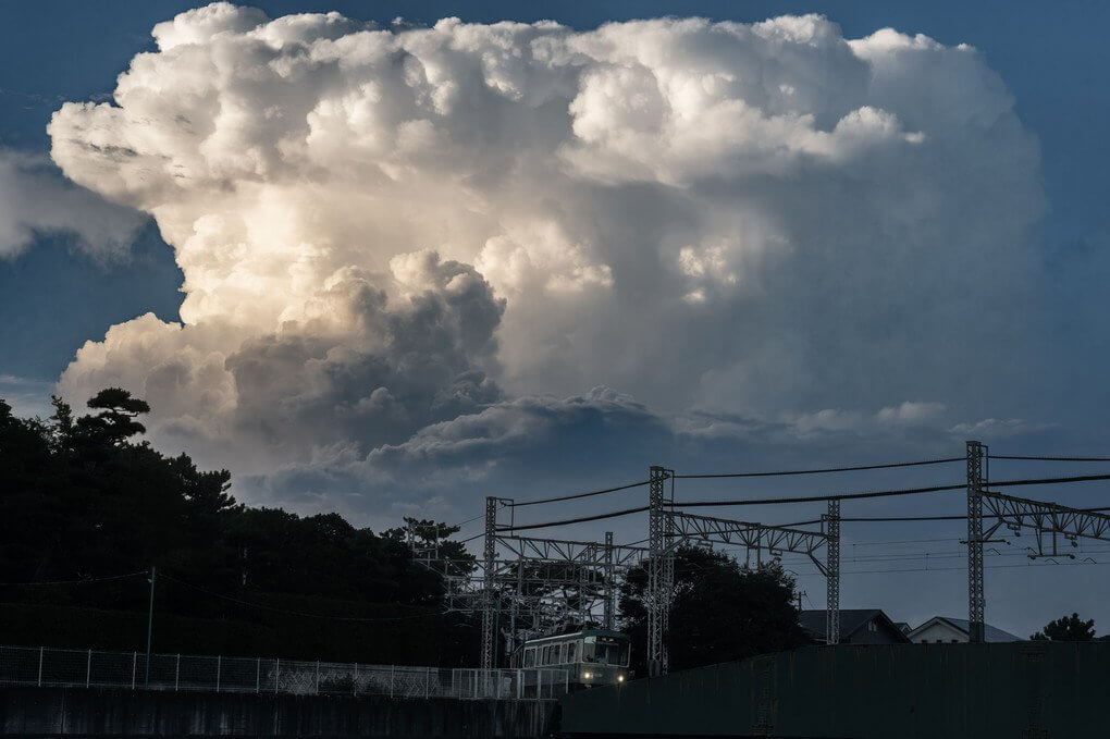 『夏の終わりの魔物』チャックさん