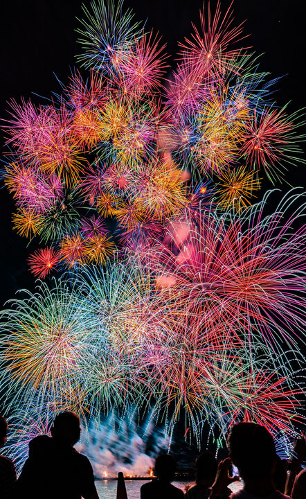 『鮮やかに没頭』Coffaaさん