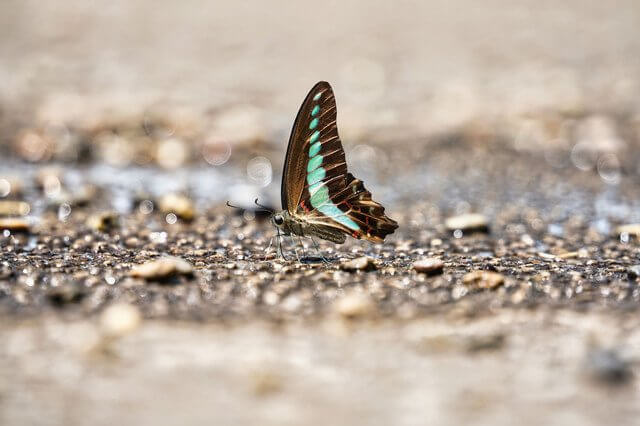 『~ひとやすみ~』KATT-YANNさん