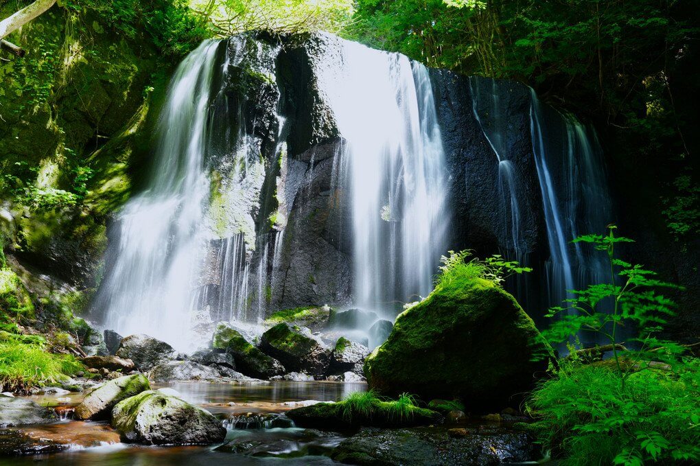 『マイナスイオンを浴びて』タケチャンマンさん