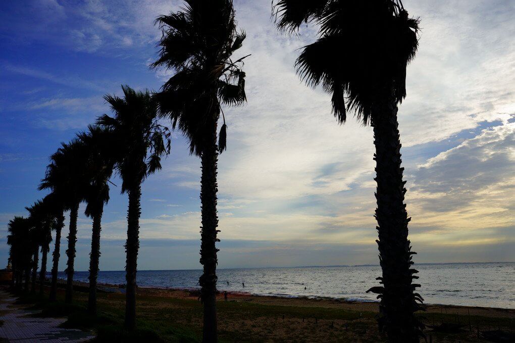 『惜夏』じいじいさん