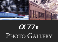 α7II Photo Gallery