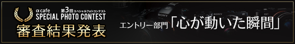 αcafe 第3回スペシャルフォトコンテスト 審査結果発表｜エントリー部門「心が動いた瞬間」
