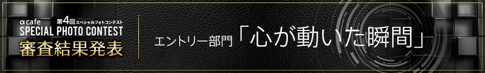 αcafe 第4回スペシャルフォトコンテスト 審査結果発表｜エントリー部門「心が動いた瞬間」