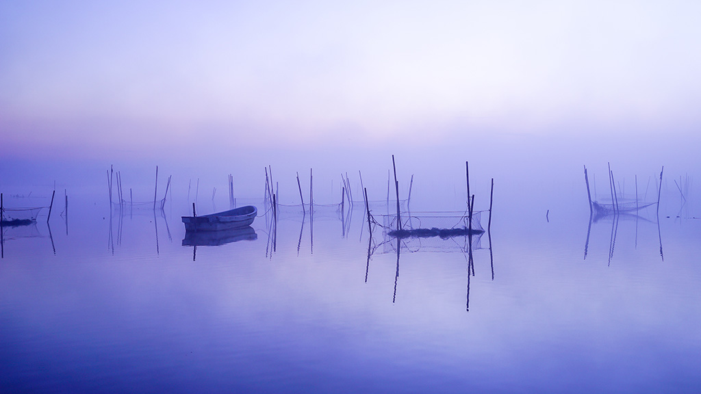 「朝霧立ち込める印旛沼」パラマーヤさん