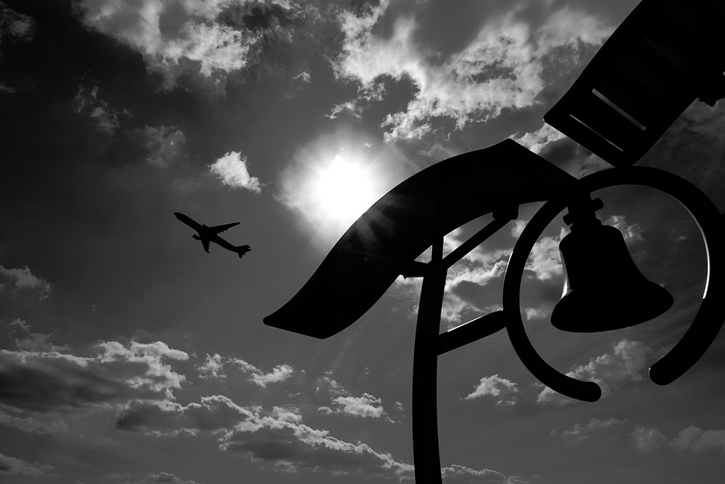 「飛び立つ」トシさん