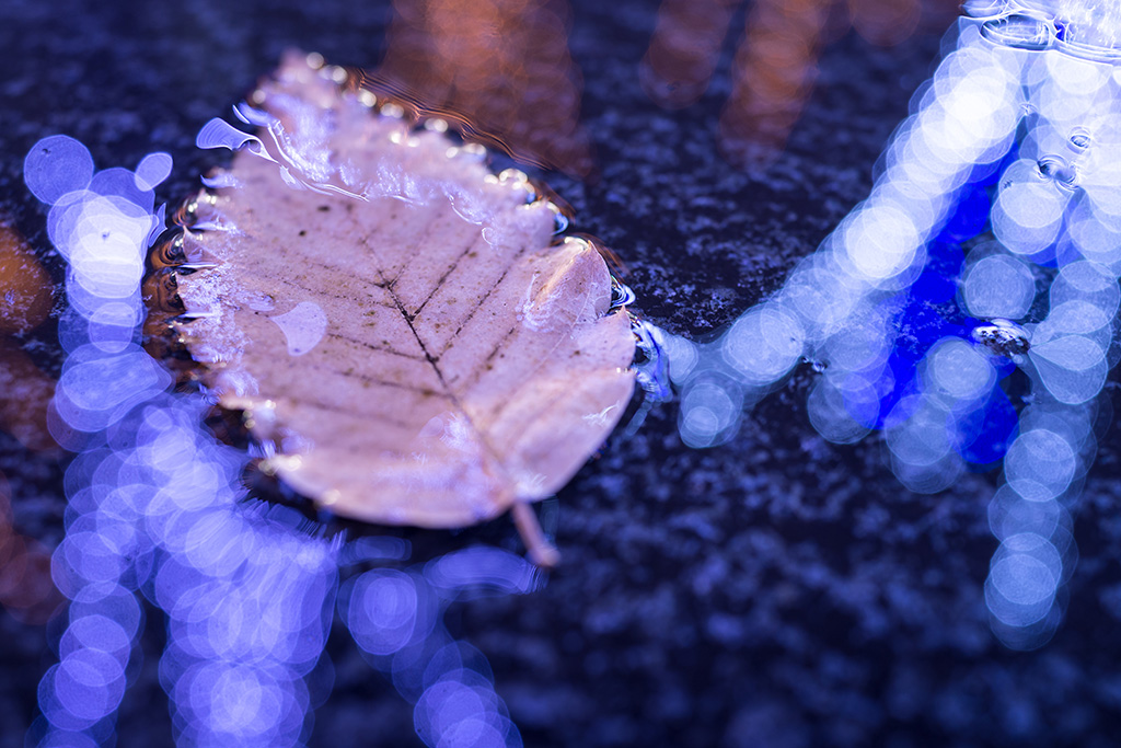 「跨ぐ冬の色」takahashi naoyaさん