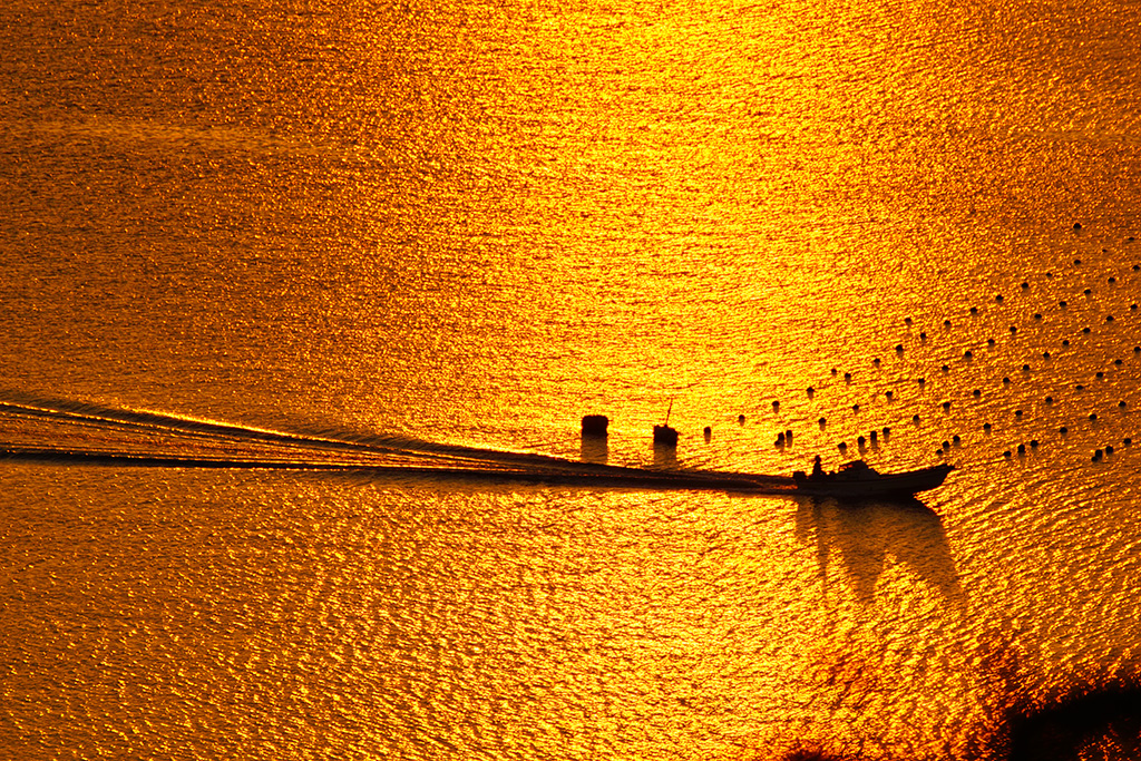 「黄金航路」agaTさん