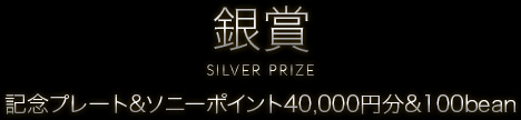 銀賞 SILVER PRIZE｜記念プレート＆ソニーポイント40,000円分＆100bean