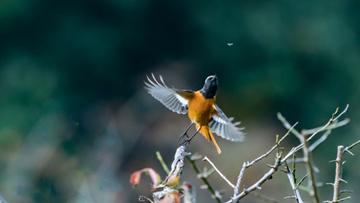「見ぃつけた♪」 BGさん