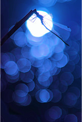 「Bleu」 nerryさん