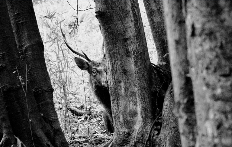 「生と死の間」uraさん