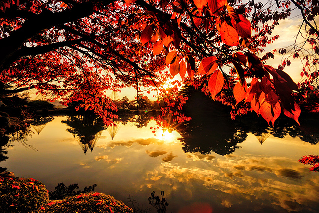 朝空の秋