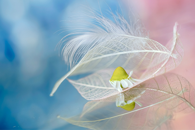 愛し子のララバイ