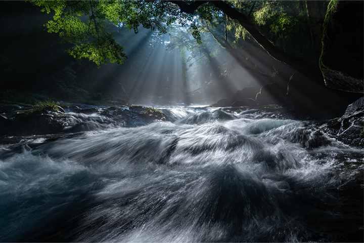 光と水の饗宴