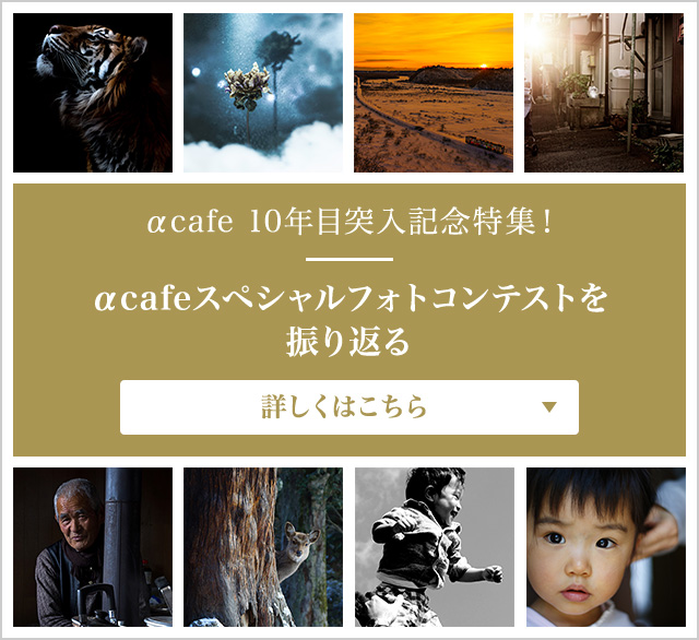 αcafe 10年目突入記念特集！αcafeスペシャルフォトコンテストを振り返る 詳しくはこちら