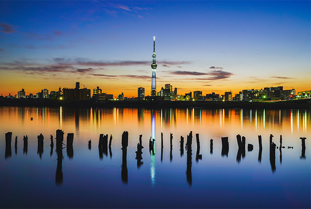 The Twilight of SUMIDA - 墨田の夕暮れ
