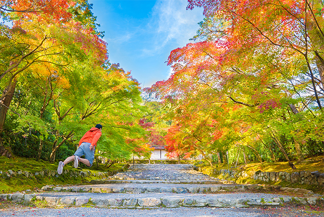 紅葉、浮遊、そして悟り