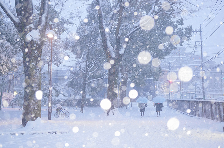 「雪の帰り道」 mooneye さん