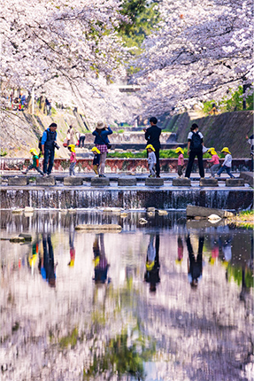 「とおりま～ちゅ！」