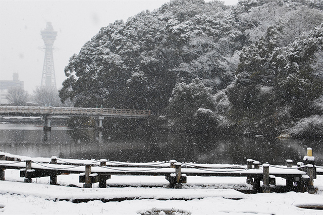 大阪天王寺公園河床池雪化粧