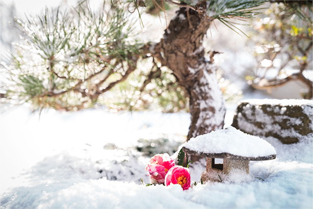 自粛の中の「慕情」