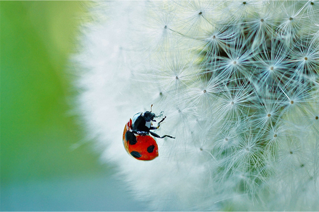 歩けるんです！