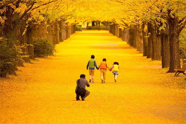 パパカメラマン、頑張る!(^^)!