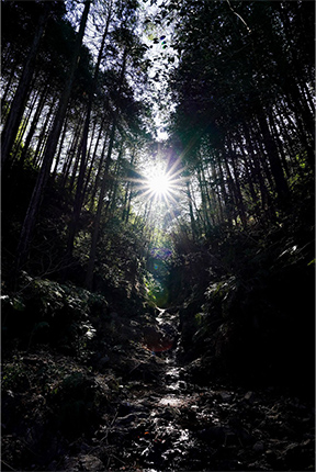 光に向かって進め！