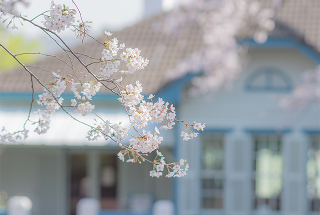 春は必ず訪れる