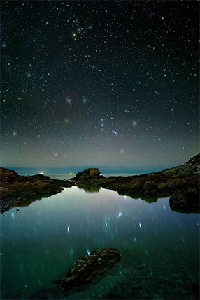 冬磯のイルミネーション