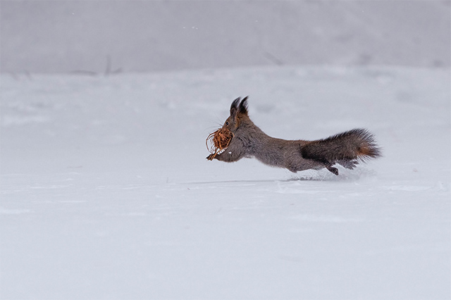 急がれる　リフォーム