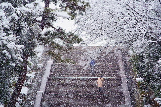 雪降りの桃山御陵