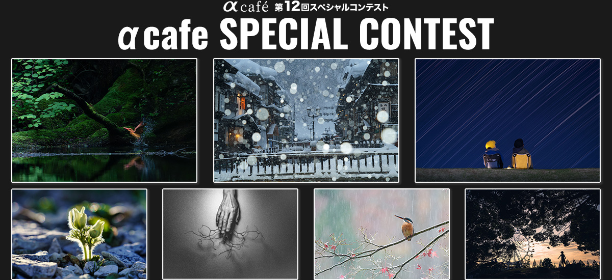 第10回スペシャルコンテストの受賞作品