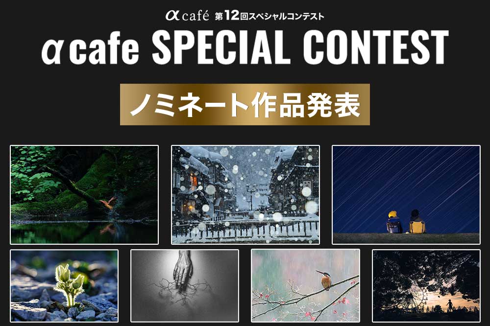 第12回スペシャルコンテストのノミネート作品発表!