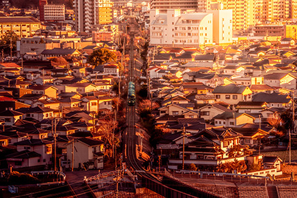 いつか蝶になれる日を