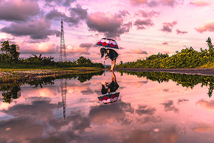 雨上がりの散歩道