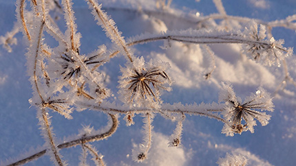 氷点下 ＊※＊※＊※