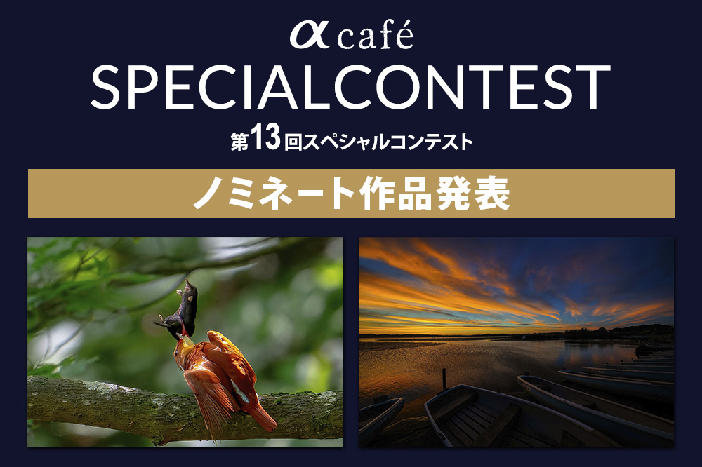 第13回スペシャルコンテストのノミネート作品発表!