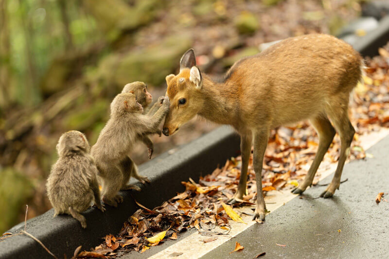 『ふれあい』中屋敷勇治さん