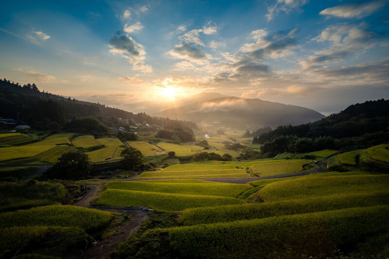 『棚田』Shinoさん
