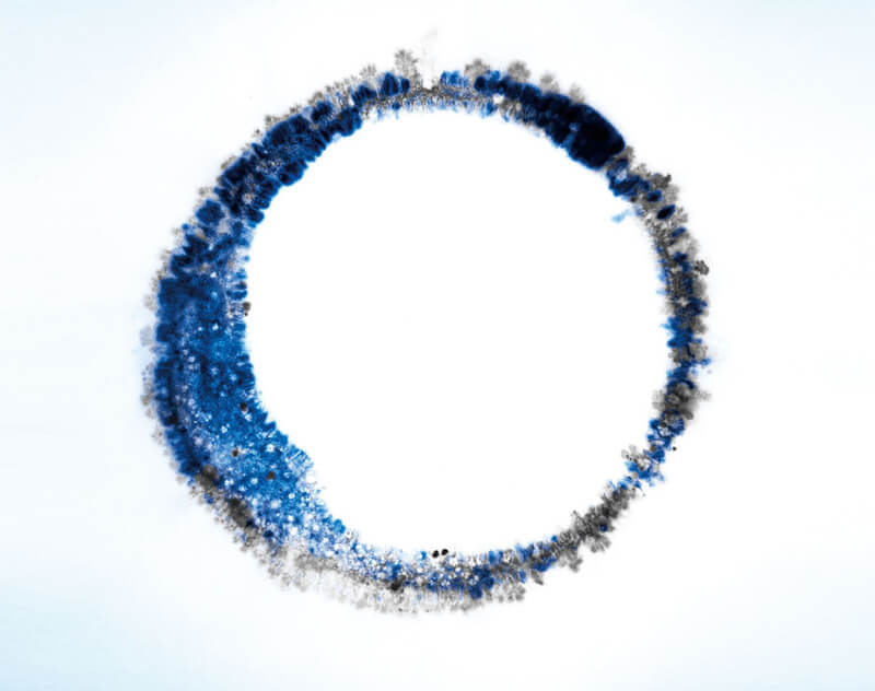 『円相』TSUZUKIToruさん