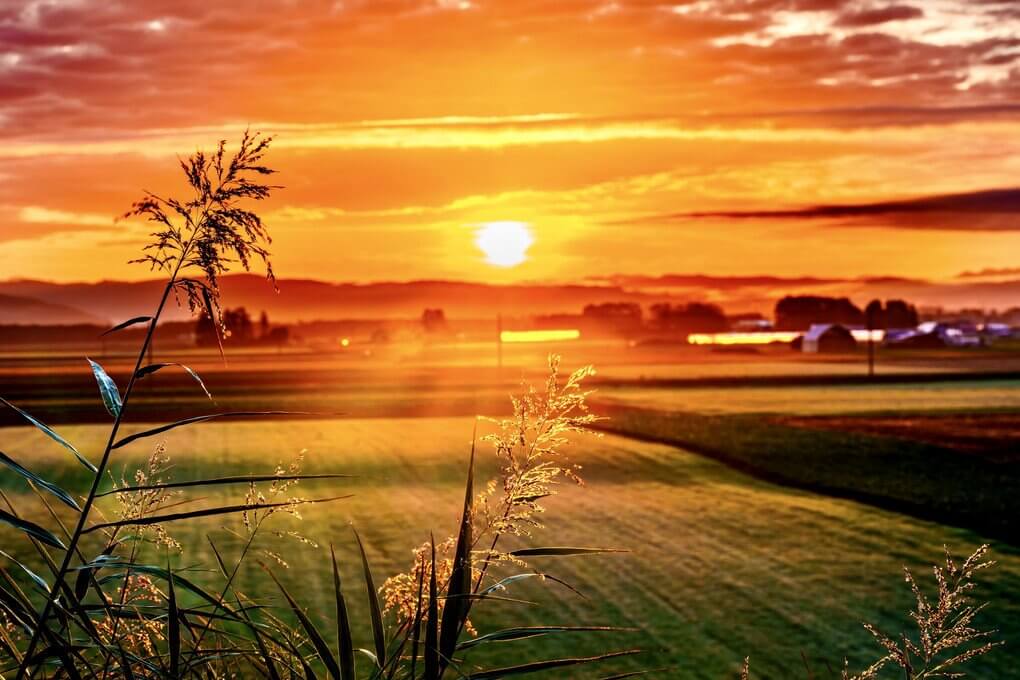 『秋づく十勝平野の朝』Auraさん