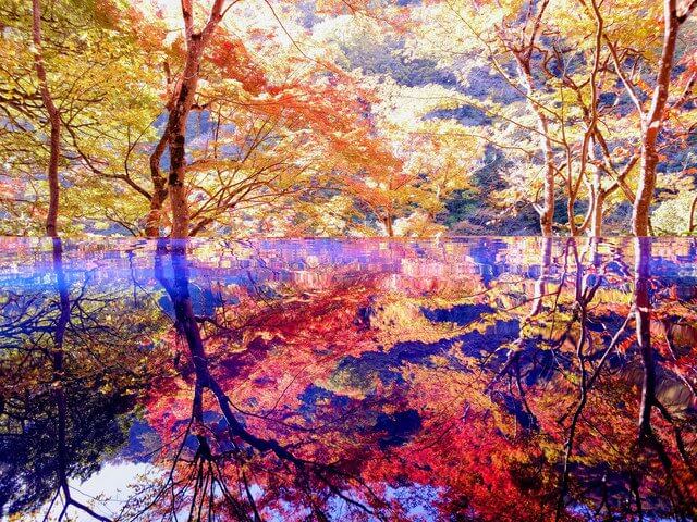 『嵐山祐斎亭』runaoさん