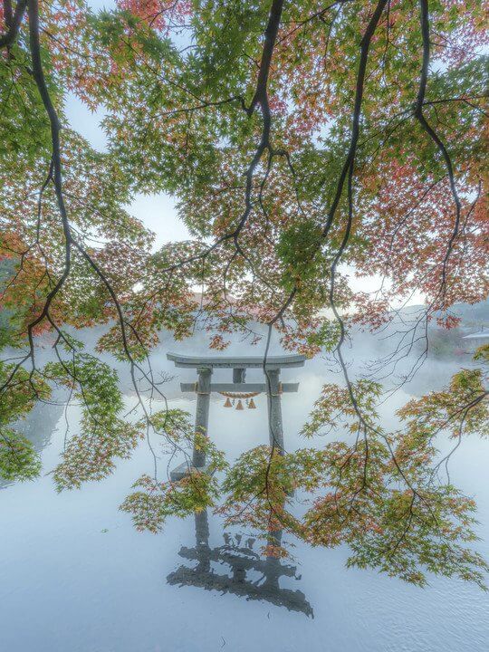 『秋色』みーむさん