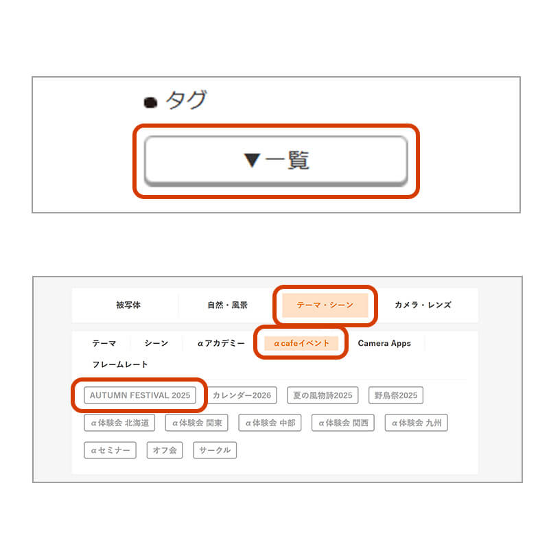「AUTUMN FESTIVAL 2025」タグを設定する