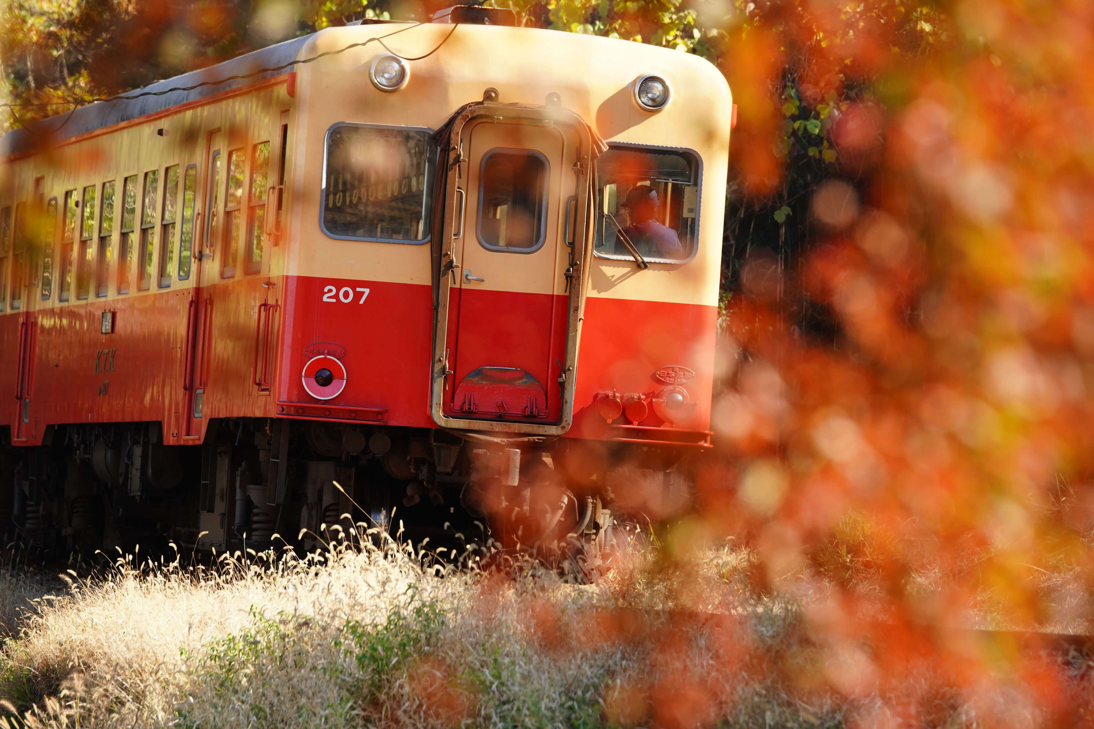 『冬が始まるよ♪』VIDEOさん